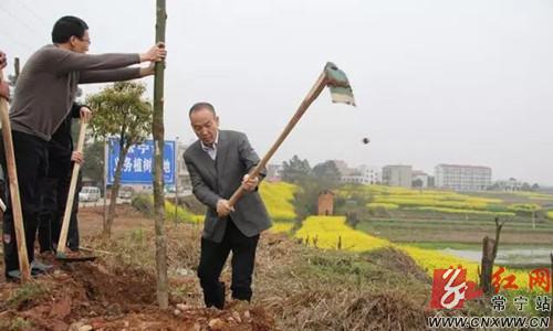 常宁:植树造林正当时 书记市长齐上阵