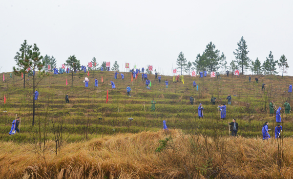 桂砺锋参加3.12义务植树活动
