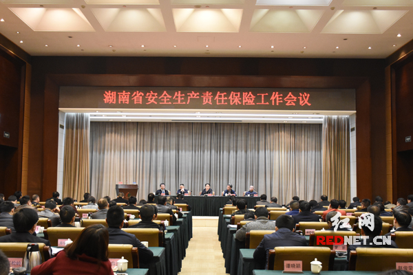湖南省安全生产责任保险工作会议在长沙召开