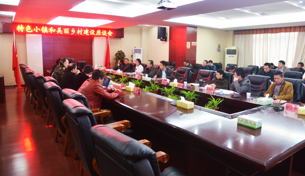 全国美丽乡村建设联盟来冷水滩调研