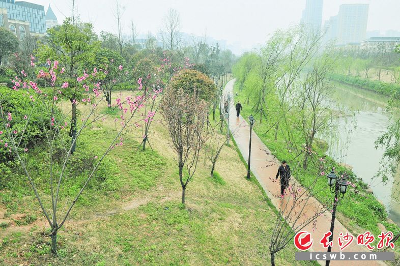 长沙雨花区春风又绿圭塘河岸