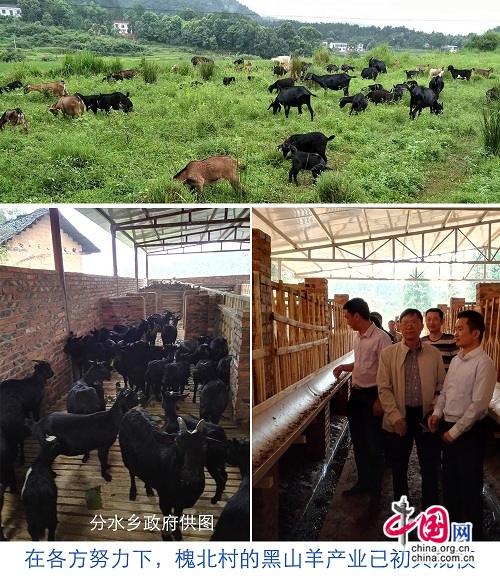 湘潭县分水乡扶贫:让山村的每个角落都充满阳光和希望