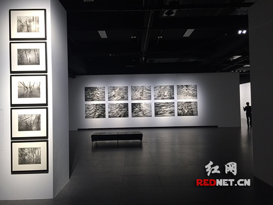 塞尔斯个人展长沙启幕 80幅作品亮相(图1)