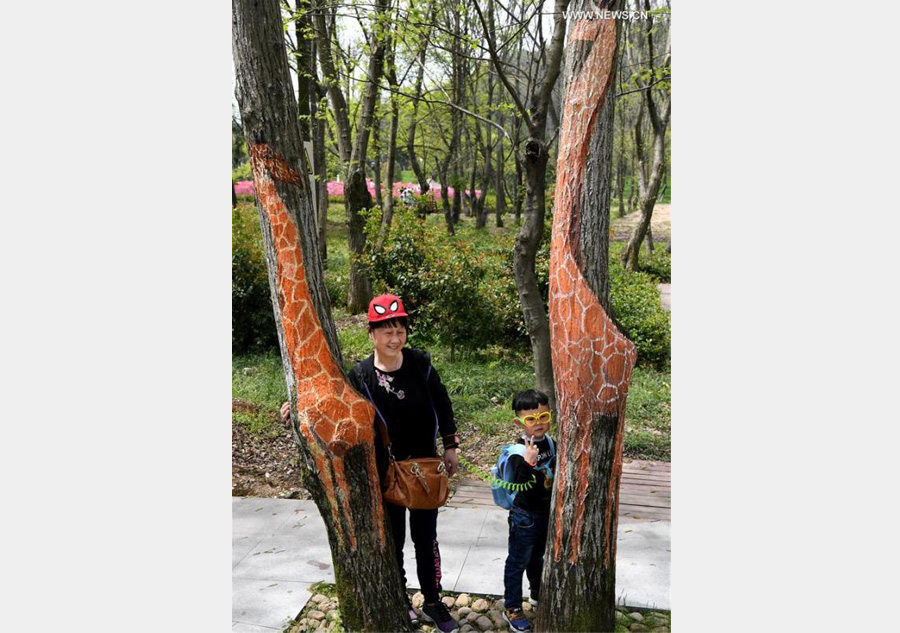 Fantastic 'tree paintings' seen in Anhui province