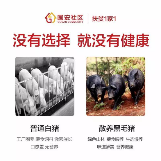 国安社区扶贫1家1，贵州雷山在行动6