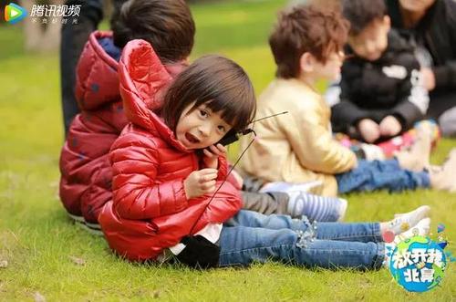 小机灵雪儿草地撒欢