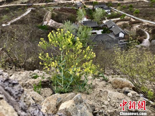 河北千年书院再现书声朗朗（图）