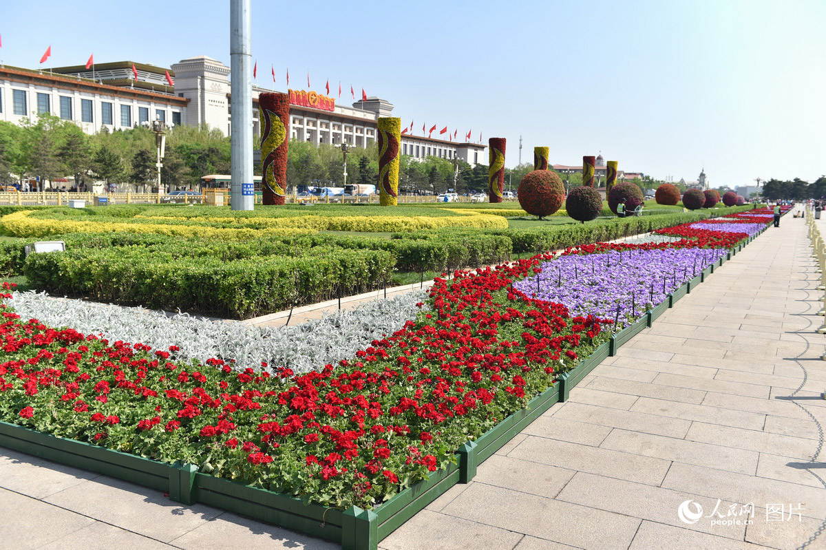 北京天安门广场装扮一新 花团锦簇喜迎“五一”【3】