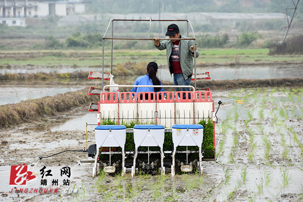 靖州县:机械化模式开拓农业新空间
