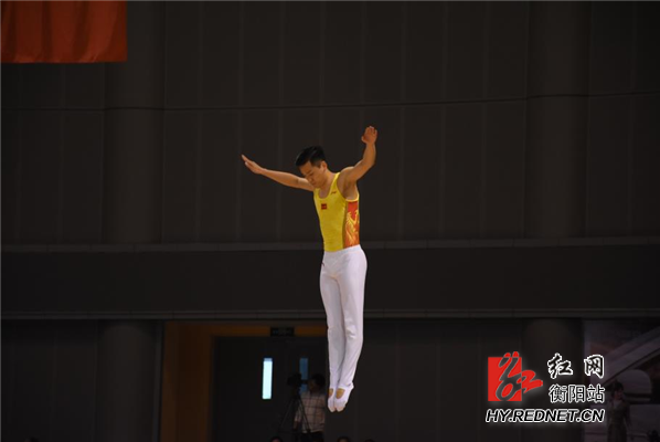 2017全国蹦床锦标赛结束 高磊李丹夺网上个人