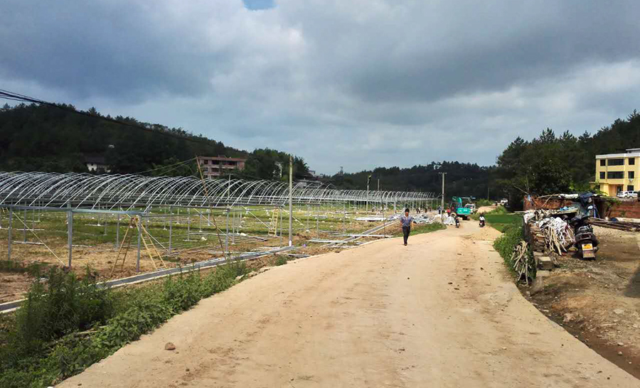 【中国梦实践者】在沉睡的土地里种下希望 江西省古坊村有这么一群追梦人