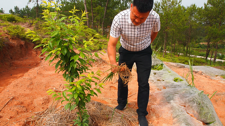 【中国梦实践者】在沉睡的土地里种下希望 江西省古坊村有这么一群追梦人