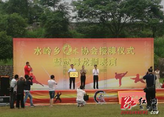 东安水岭乡成立武术协会 全力打造“武术之乡”