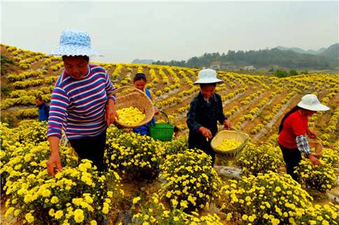砥砺奋进的五年：脱贫攻坚成就大 听群众聊聊“获得感”