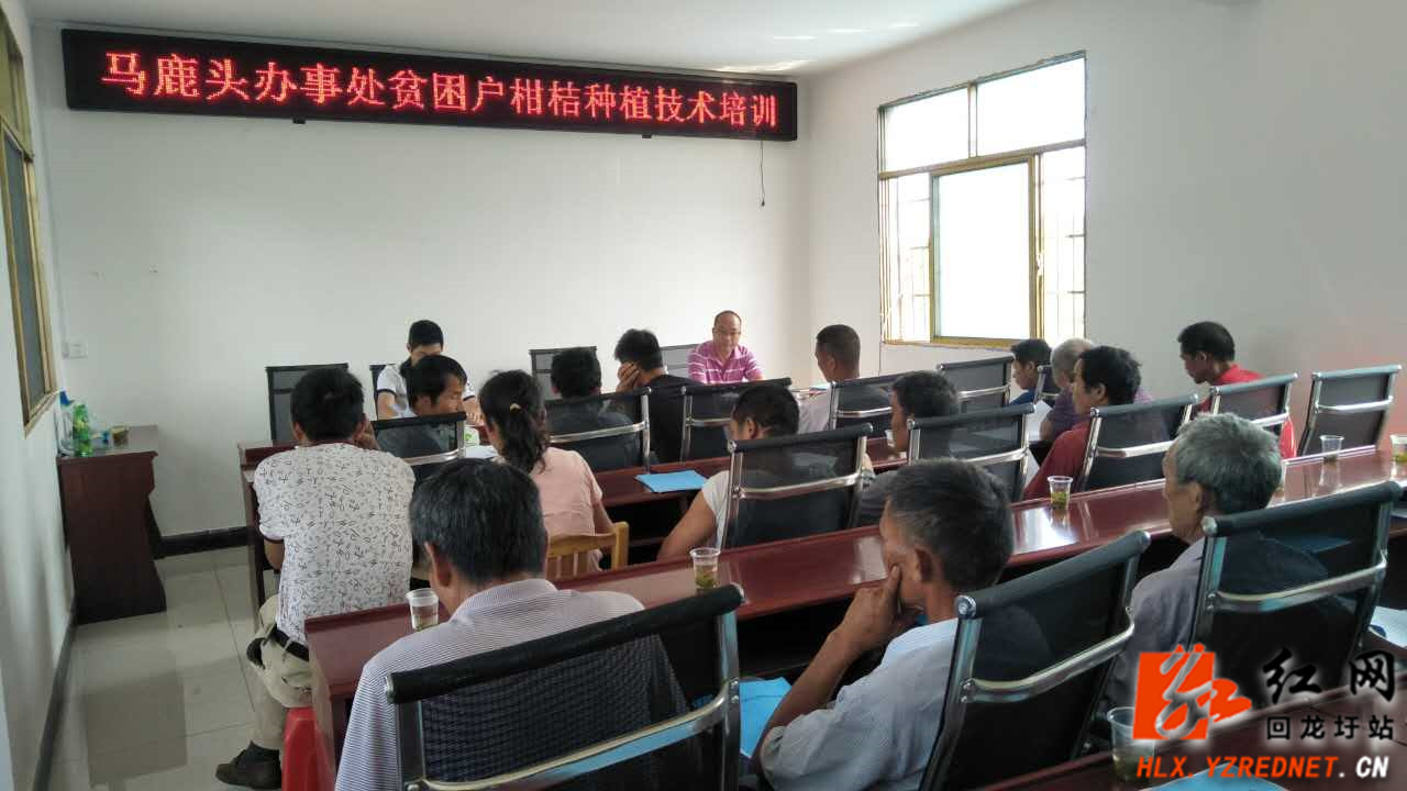 回龙圩：送种植技术给贫困户助力脱贫