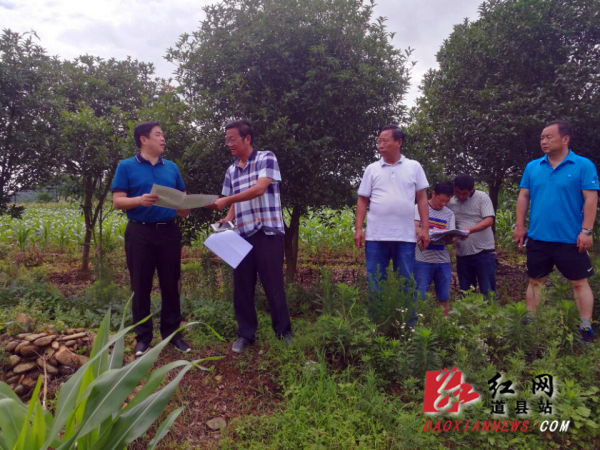 李天明调研道县濂溪故里项目建设工作