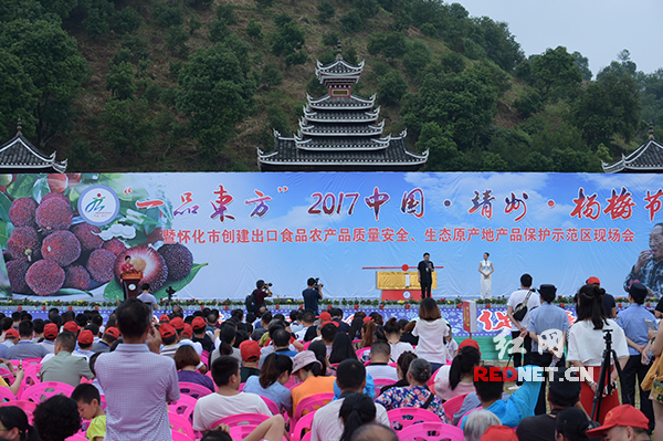 2017靖州杨梅节开幕 十万亩生态果引来观光客