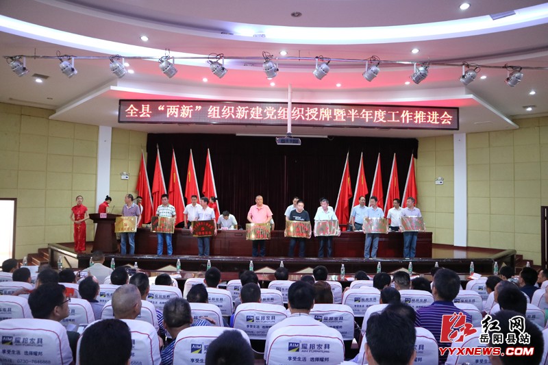 50个“两新”组织新建党组织集中授牌