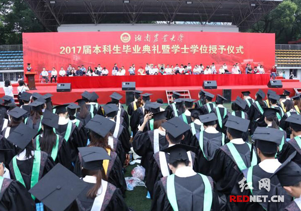 3、沧州大学毕业证丢了还能补吗：大学毕业证不能丢了，能补吗？