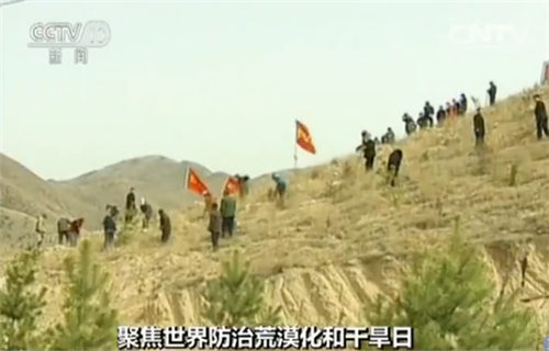 防沙治沙的工作人员