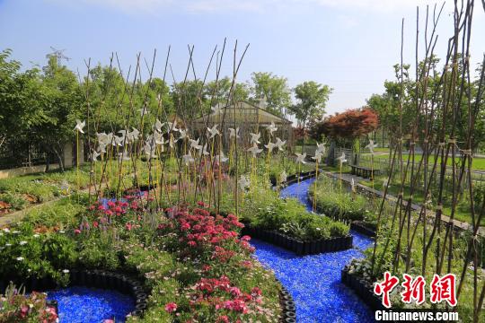 肖蒙城堡花园“移植”北京首次实景展示法国园林风情