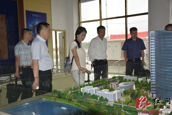 湖南省商务厅领导来新邵县调研开放型经济工作
