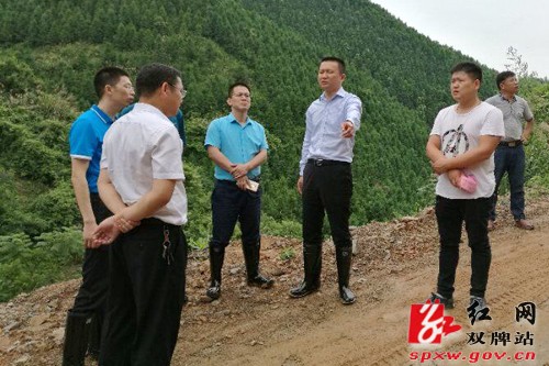 精准发力度汛 科学施策抗灾