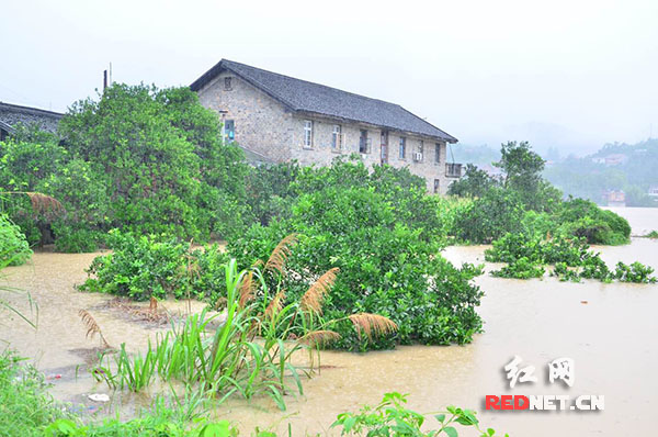 湖南溆浦县有多少人口_伟大的母爱 送给溆浦县大江口镇100岁老人 我的外婆(2)