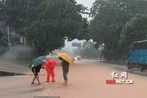 安沙镇人口_长沙县安沙镇规划图(3)