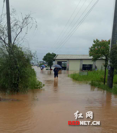 黄兴镇总人口_黄兴镇荣河小学照片(2)