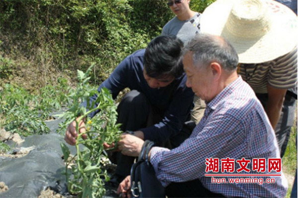 中央文明办发布6月中国好人榜 东安吴才有上