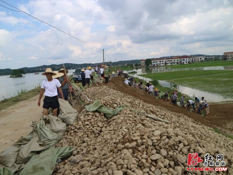 新墙镇干群奋战3小时压住三合垸一管涌群