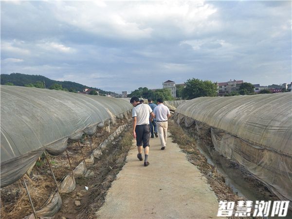 微信图片_20170705104354.jpg