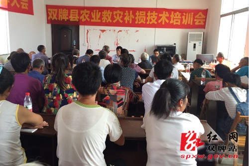 县农委开展农业救灾补损技术培训会