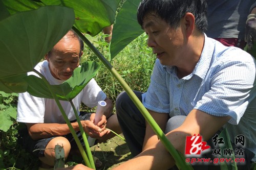 县农委开展农业救灾补损技术培训会