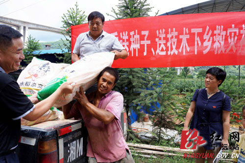 宁远：免费种子送下乡 助力灾后生产恢复