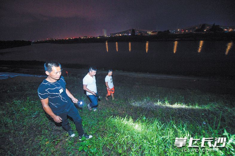 昨晚10时30分，在雨花区东山街道渔场社区段浏阳河大堤上，几名巡查人员在堤上进行巡查。长沙晚报记者 黄启晴 摄