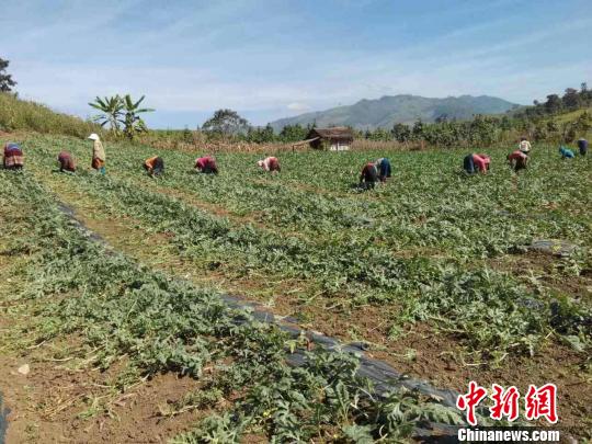 贵州山民借“一带一路”东风海外创业谋发展