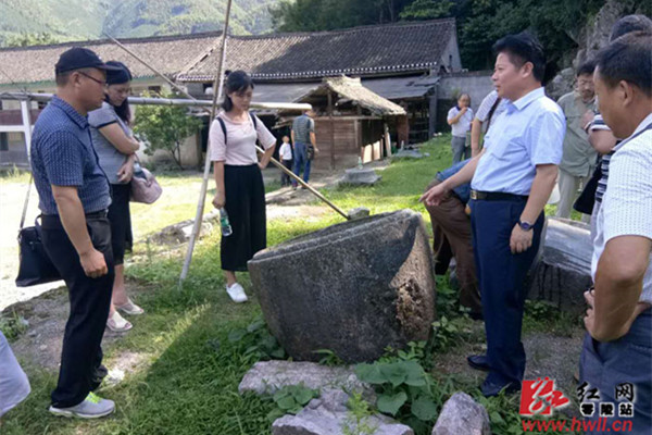 桥镇政府某些干部,不按村民民委员会组织法、