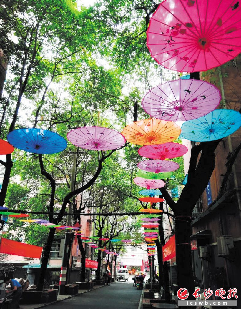 浓密绿阴间点缀着五彩的油纸伞，风情一条街让首个无障碍示范社区颜值大涨。 长沙晚报通讯员 翟勇 摄