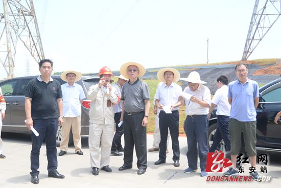 上海社科院院长王战一行到东安调研特色小镇建