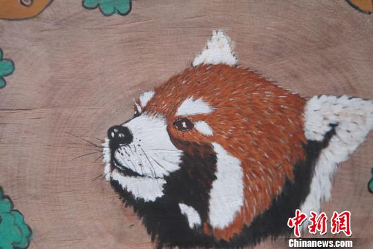云南90后彝族小伙用圆木作画向网红小熊猫“表白”
