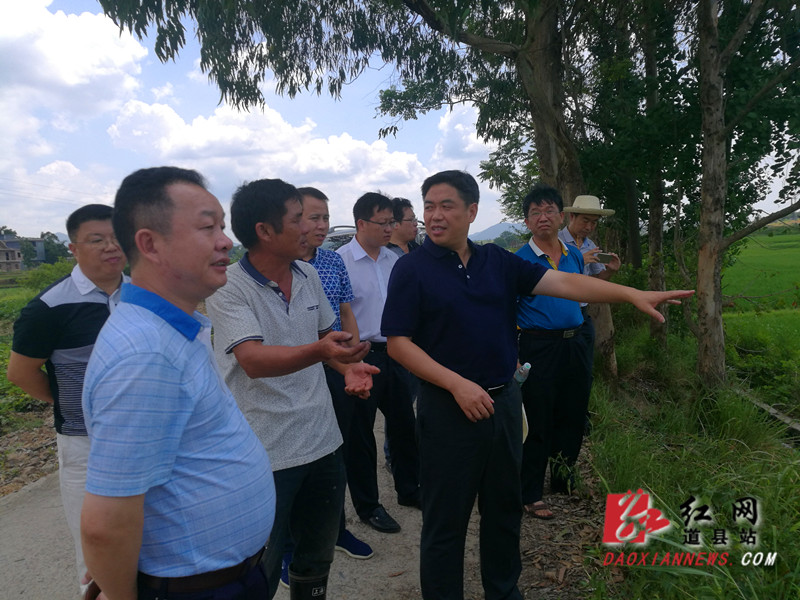 李天明深入道县部分乡镇指导农业抗旱工作