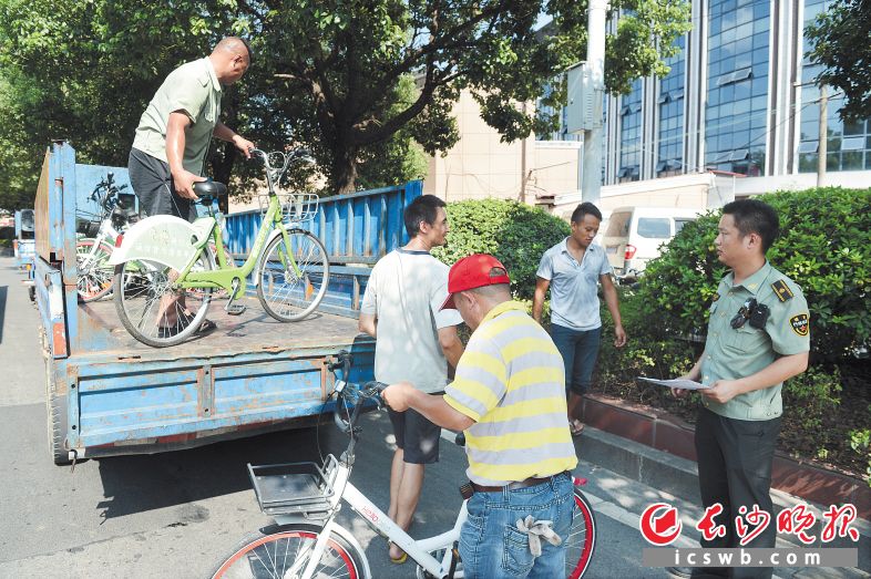 昨日下午，岳麓区城管执法人员来到麓山南路针对共享单车的乱停乱放现象进行现场整治。长沙晚报记者 余劭劼 摄