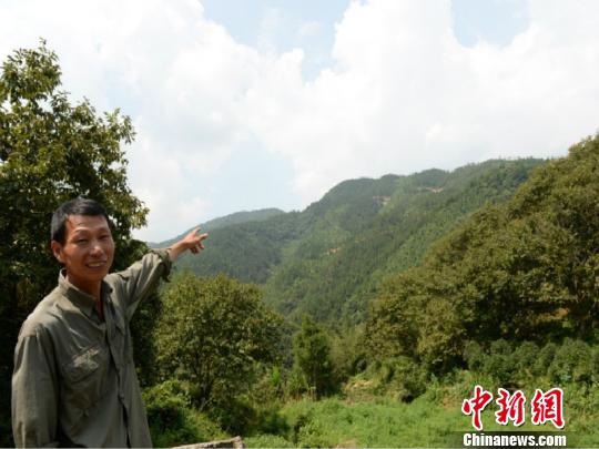 浙江江山一男子“扎根”大山数十载：从此荒山不再荒