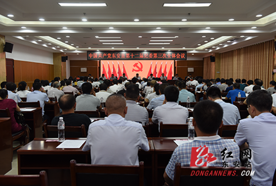 东安县召开第十二届纪委第三次全体（扩大）会议