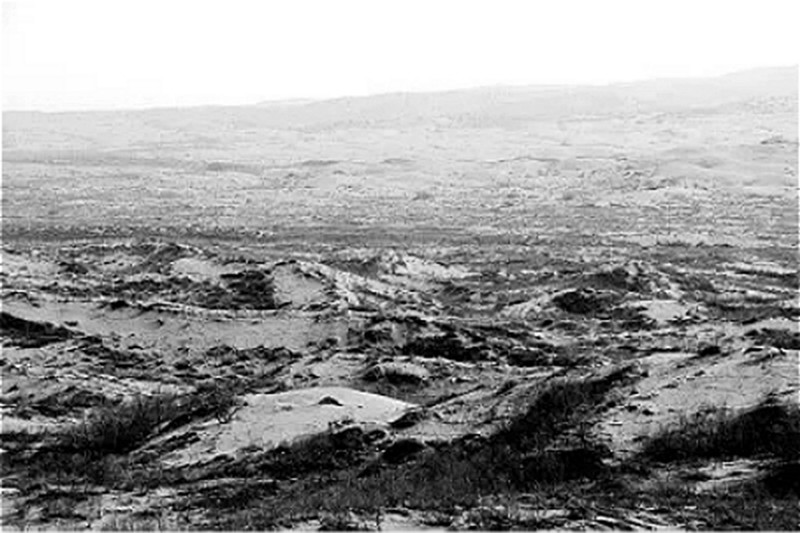 塞罕坝建场前的荒原（资料图片）