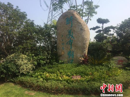 “造血”村庄换新颜浙江苍南重塑美丽乡村新样板