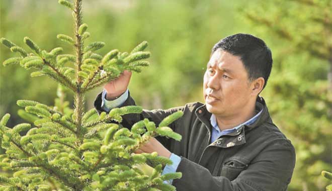 塞罕坝机械林场总场森林病虫害防治检疫站站长国志锋。田明 霍艳恩摄 