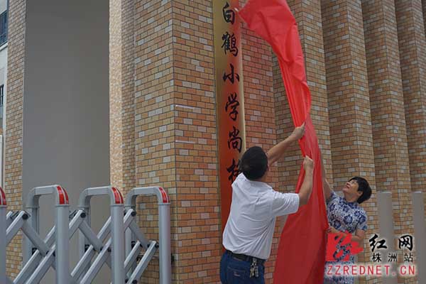 株洲小学分校尚格小学14个班今天开学了才进上海浦东白鹤图片